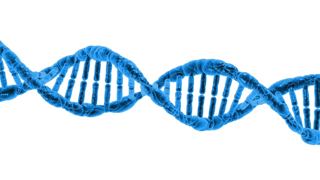 Functional Genomic Testing